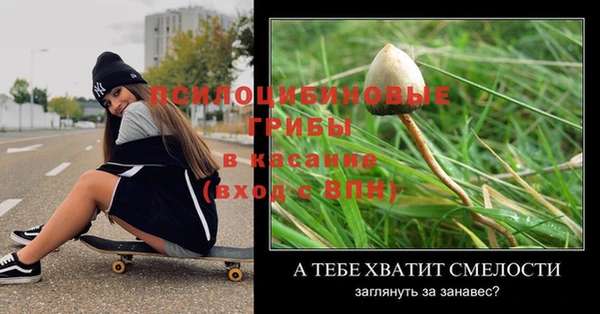амф Вязьма